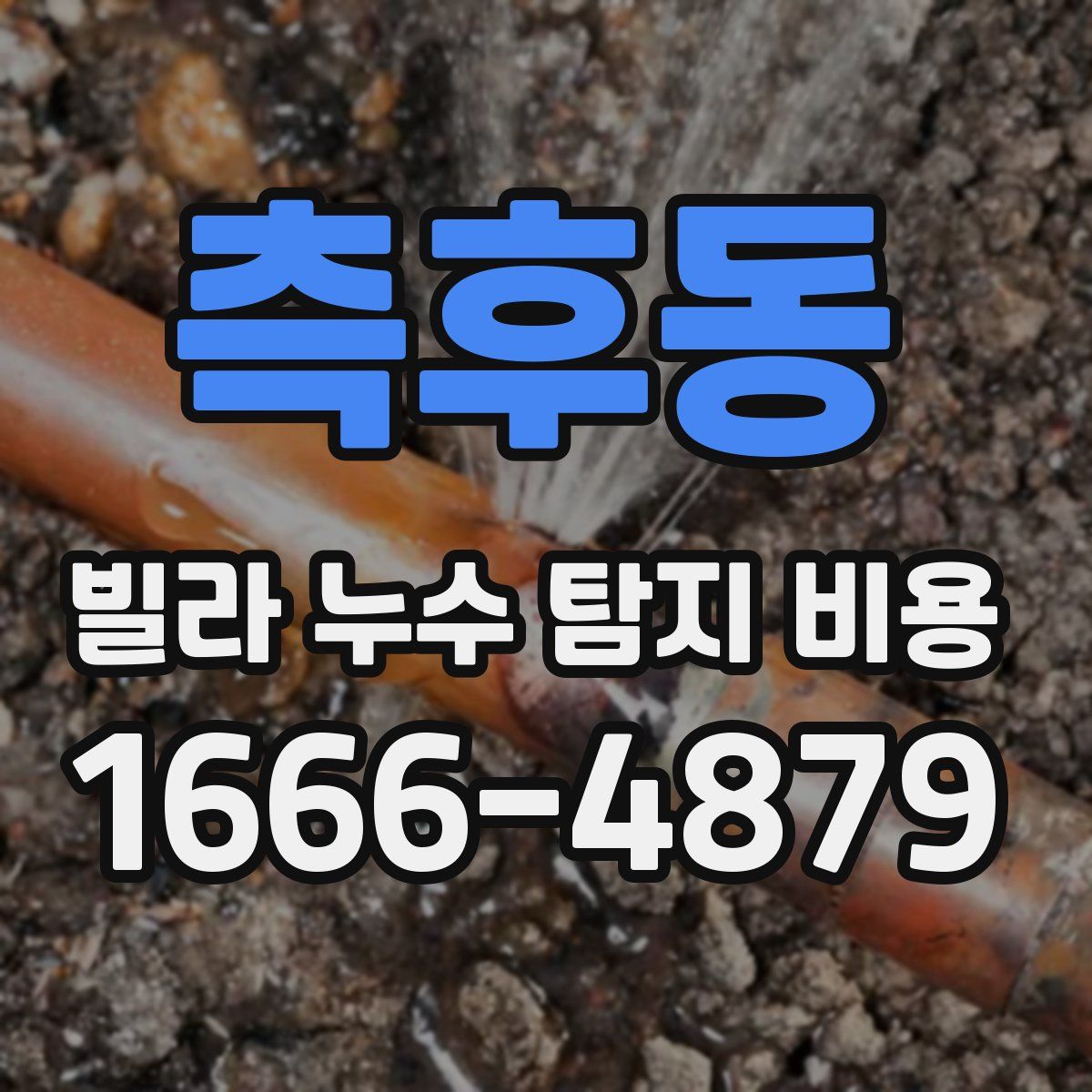 측후동 빌라 누수 탐지 비용