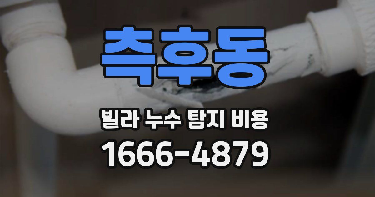측후동 빌라 누수 탐지 비용