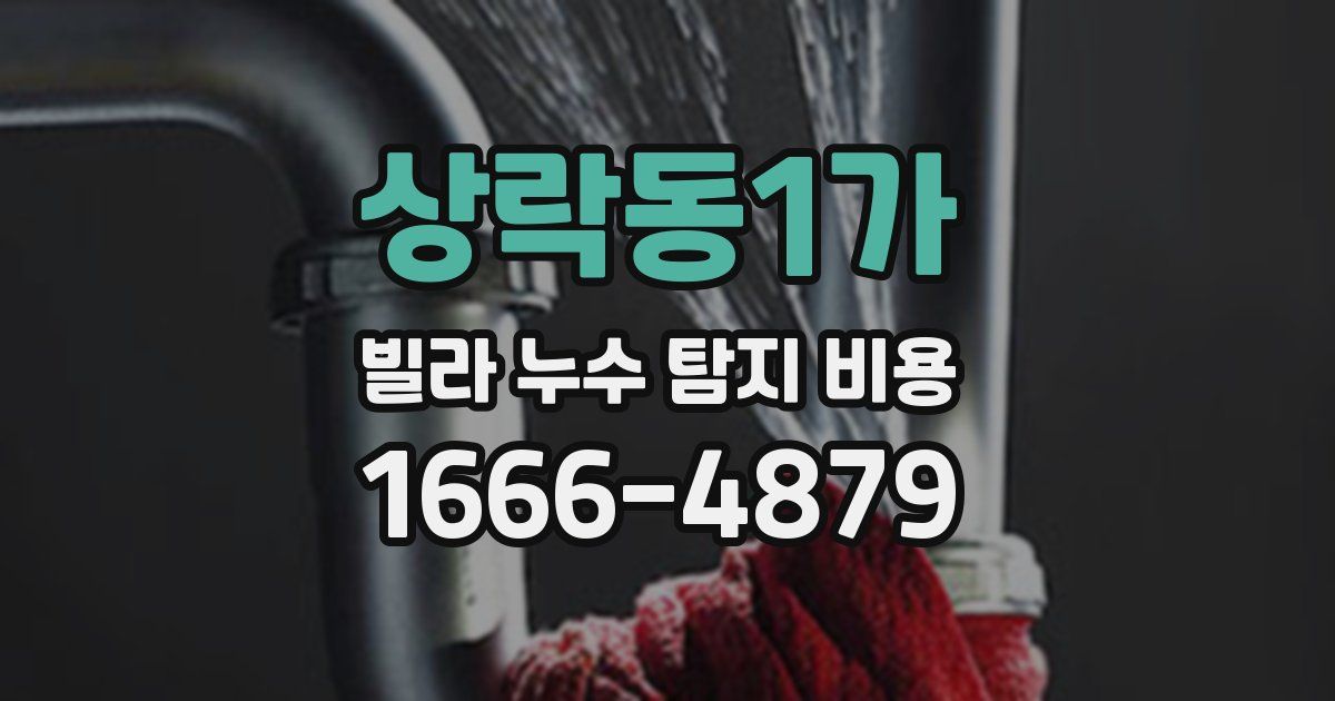상락동1가 빌라 누수 탐지 비용