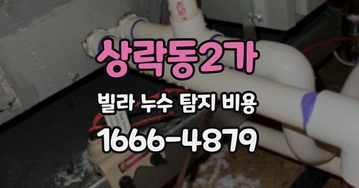 상락동2가 빌라 누수 탐지 비용