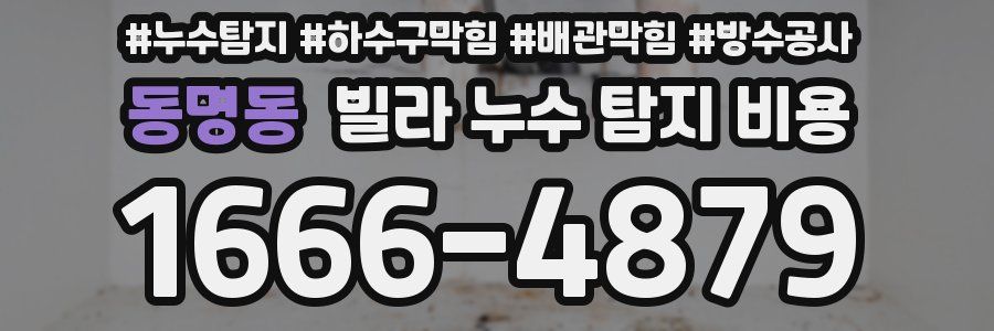 동명동 빌라 누수 탐지 비용