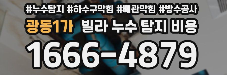 광동1가 빌라 누수 탐지 비용