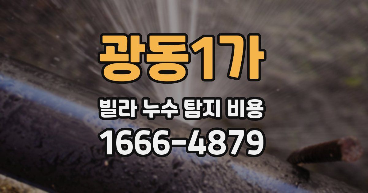 광동1가 빌라 누수 탐지 비용