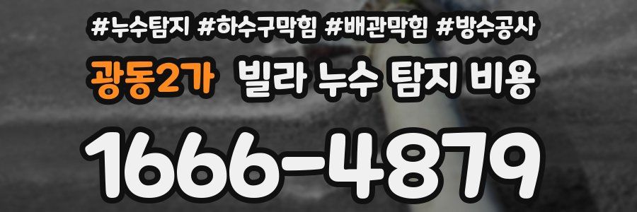 광동2가 빌라 누수 탐지 비용