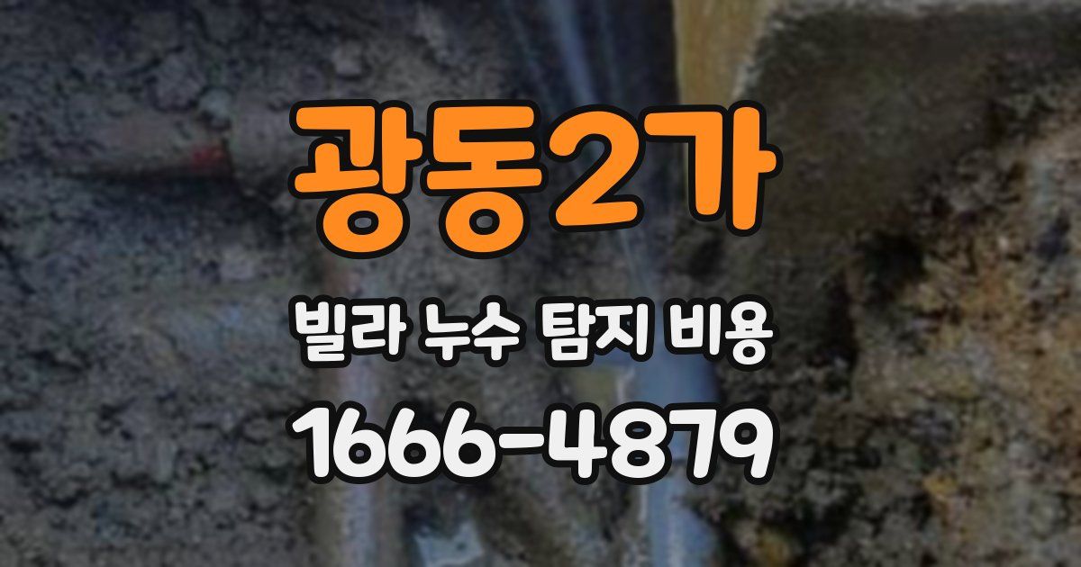 광동2가 빌라 누수 탐지 비용