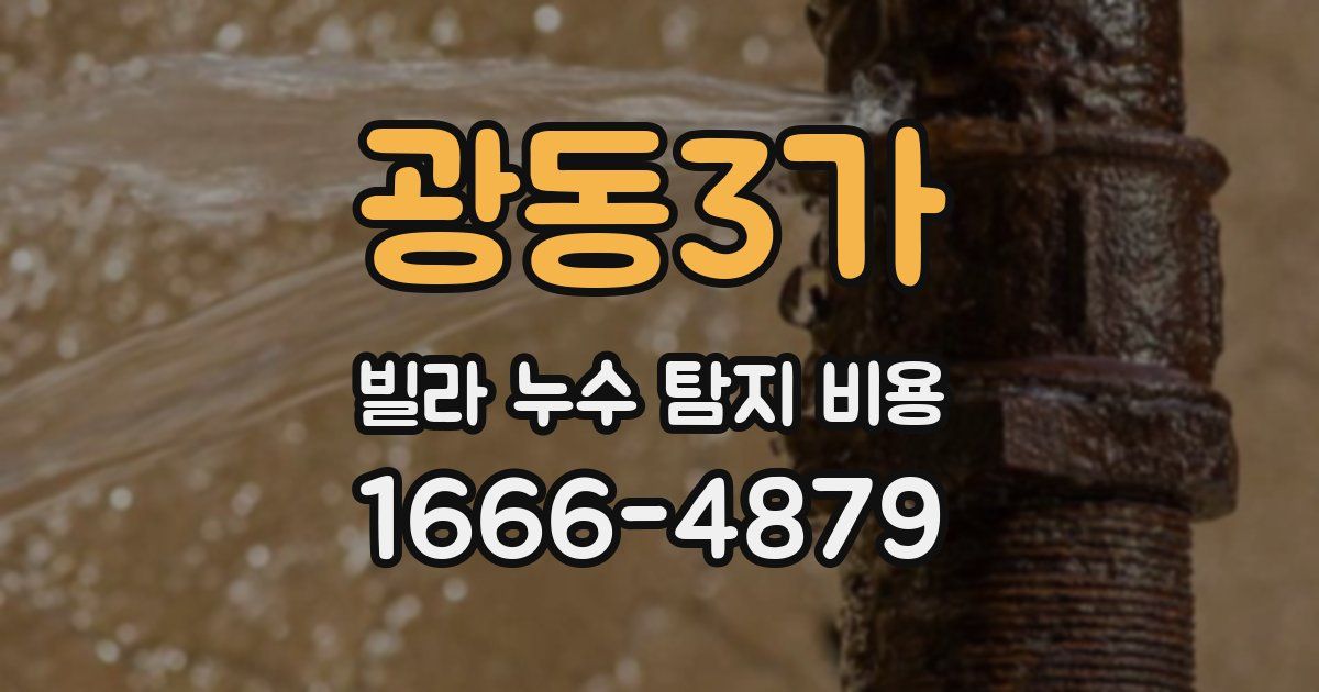 광동3가 빌라 누수 탐지 비용