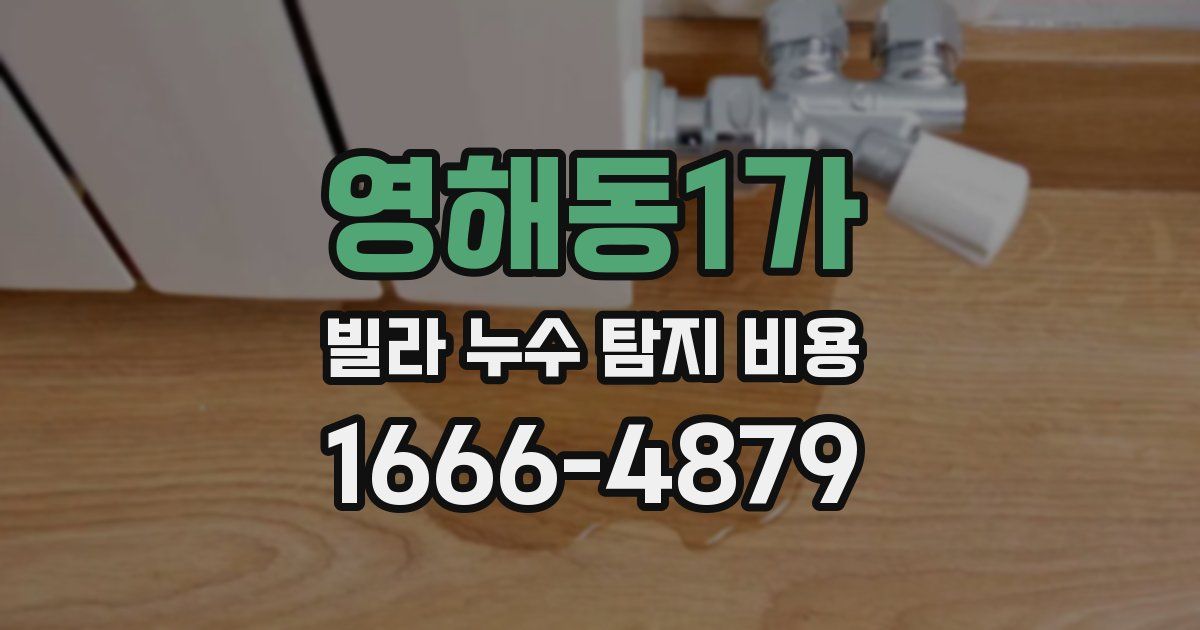 영해동1가 빌라 누수 탐지 비용