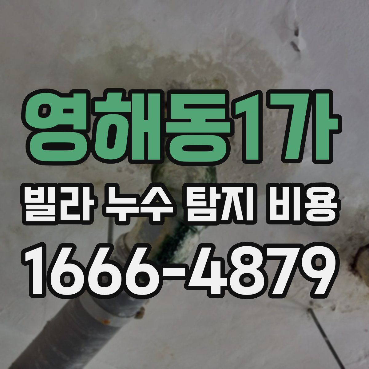 영해동1가 빌라 누수 탐지 비용