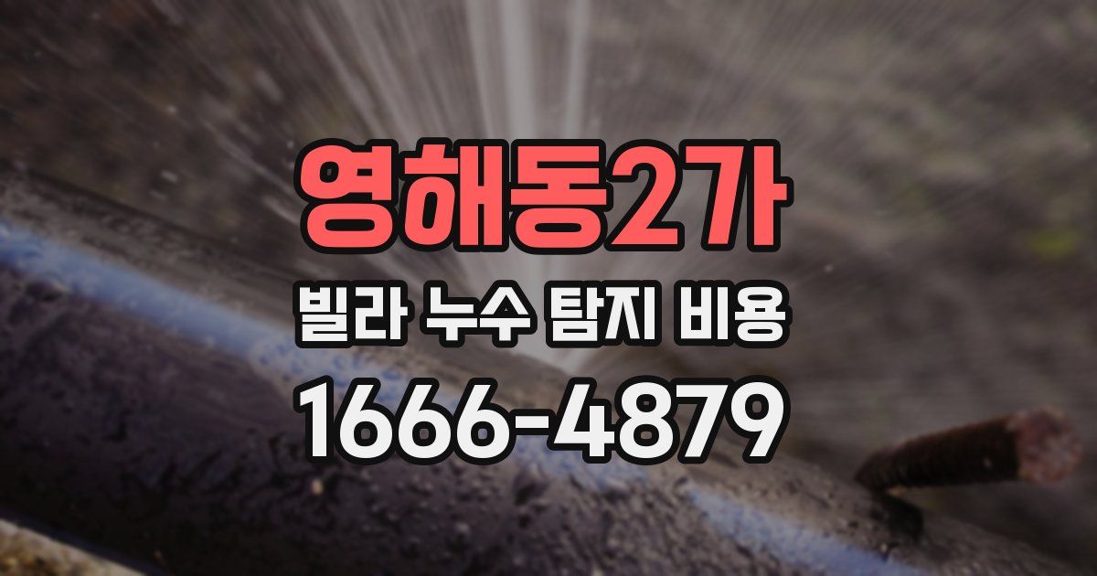 영해동2가 빌라 누수 탐지 비용