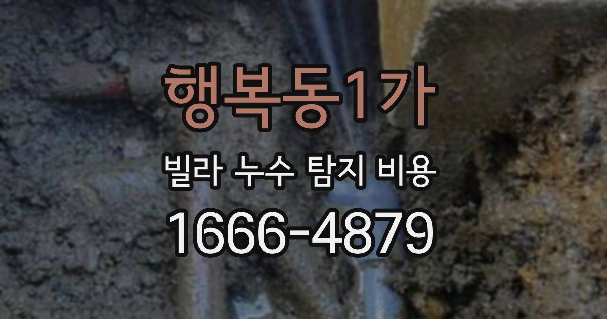 행복동1가 빌라 누수 탐지 비용