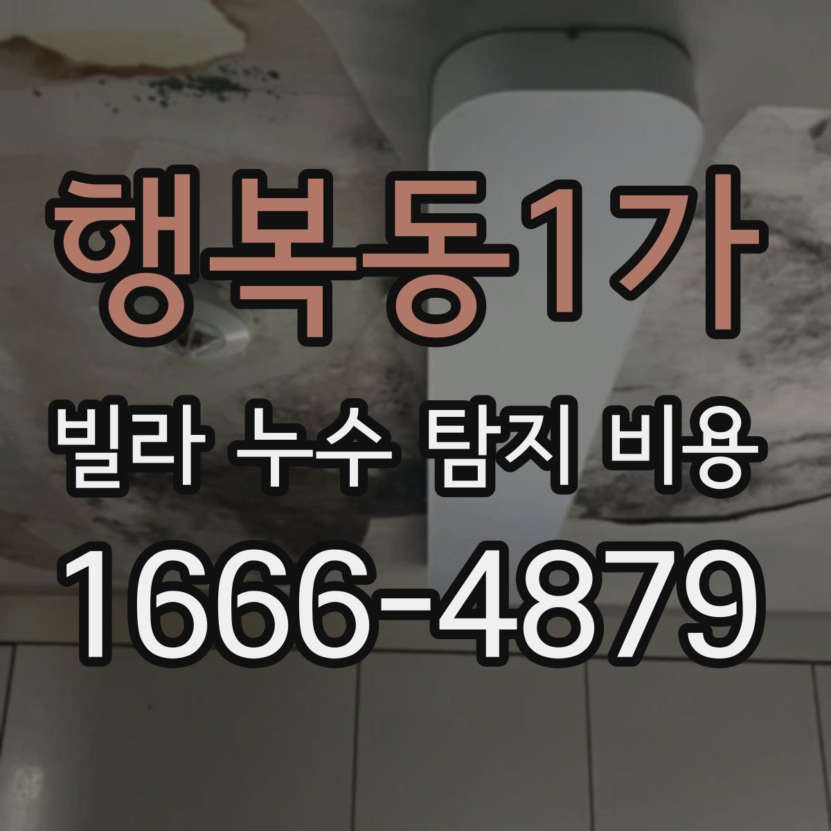 행복동1가 빌라 누수 탐지 비용