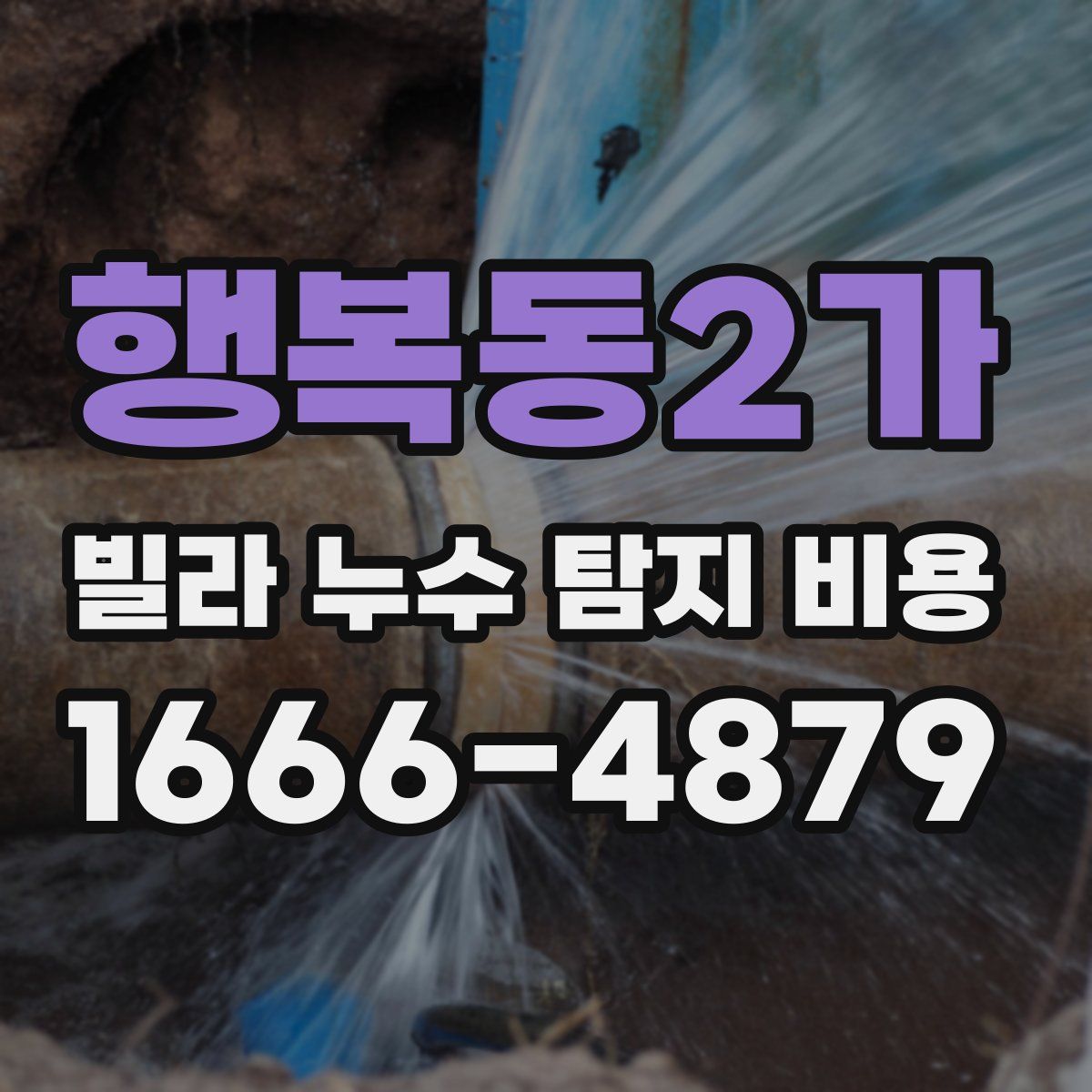행복동2가 빌라 누수 탐지 비용