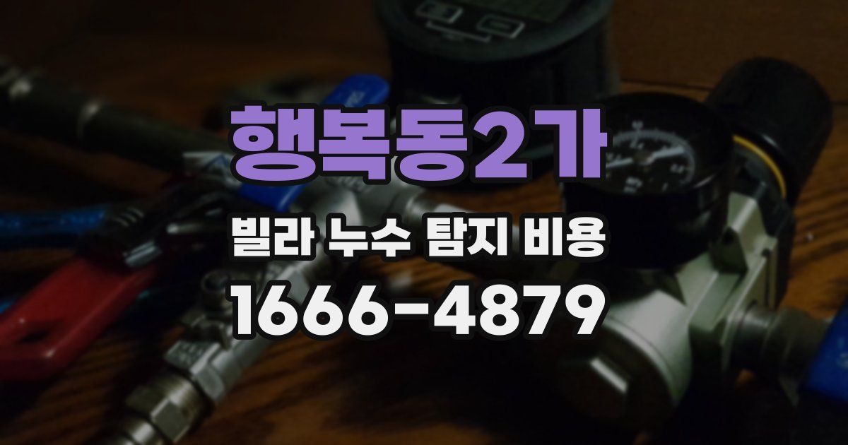행복동2가 빌라 누수 탐지 비용