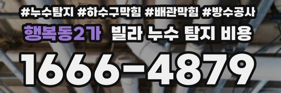 행복동2가 빌라 누수 탐지 비용
