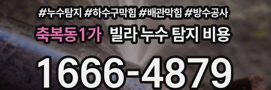 축복동1가 빌라 누수 탐지 비용