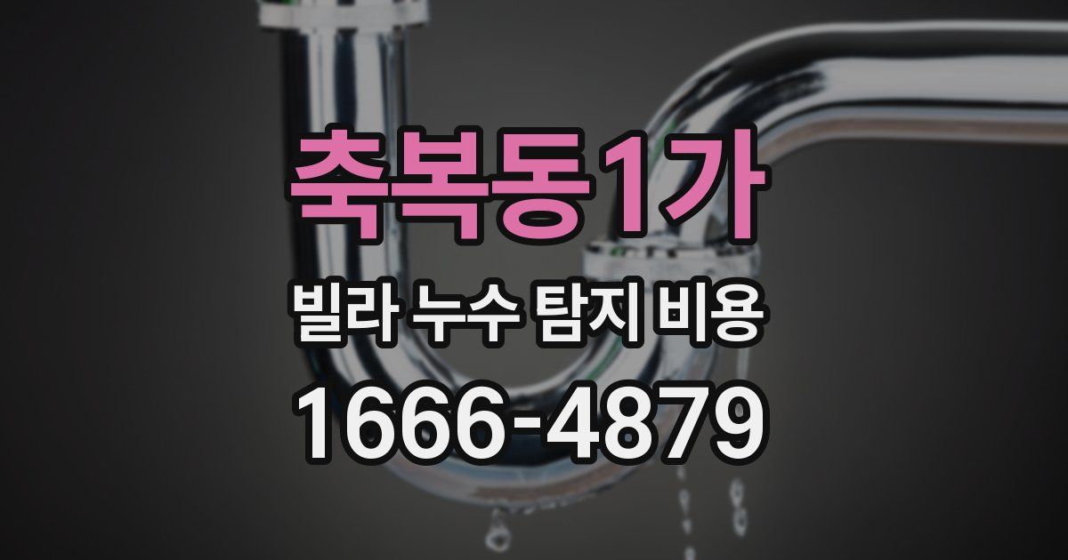 축복동1가 빌라 누수 탐지 비용