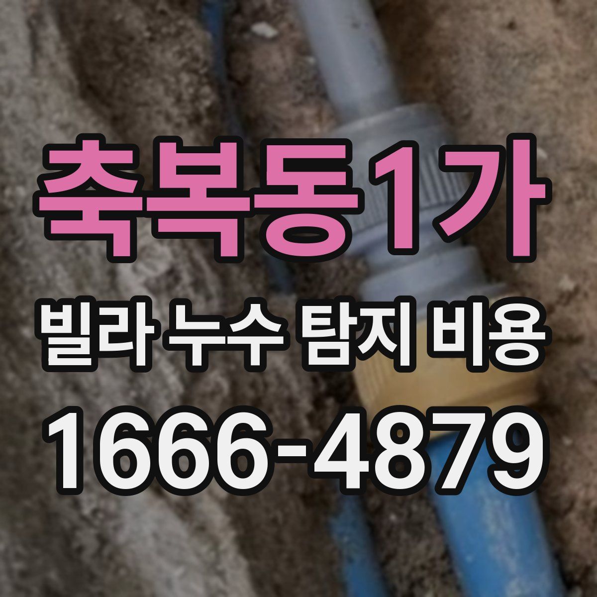 축복동1가 빌라 누수 탐지 비용