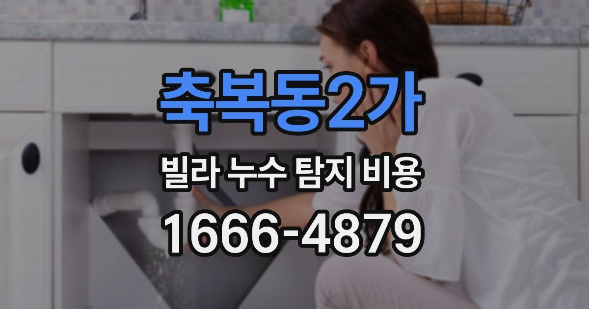 축복동2가 빌라 누수 탐지 비용