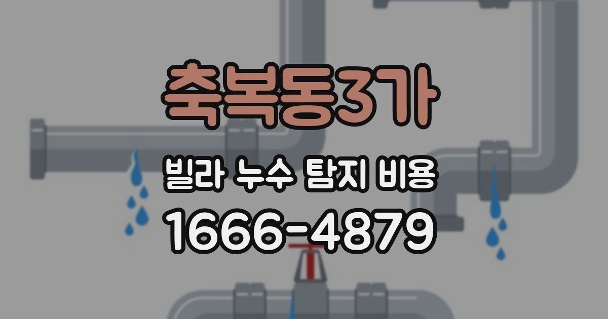 축복동3가 빌라 누수 탐지 비용