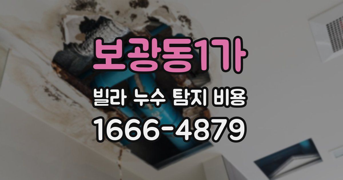 보광동1가 빌라 누수 탐지 비용