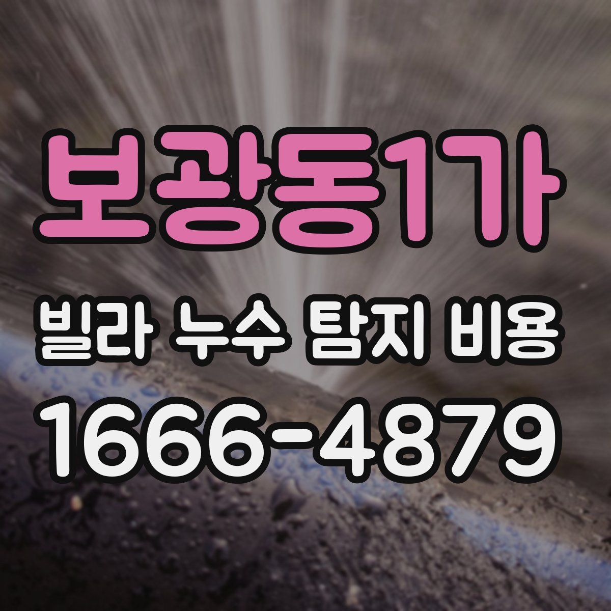 보광동1가 빌라 누수 탐지 비용