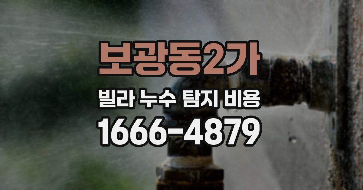보광동2가 빌라 누수 탐지 비용