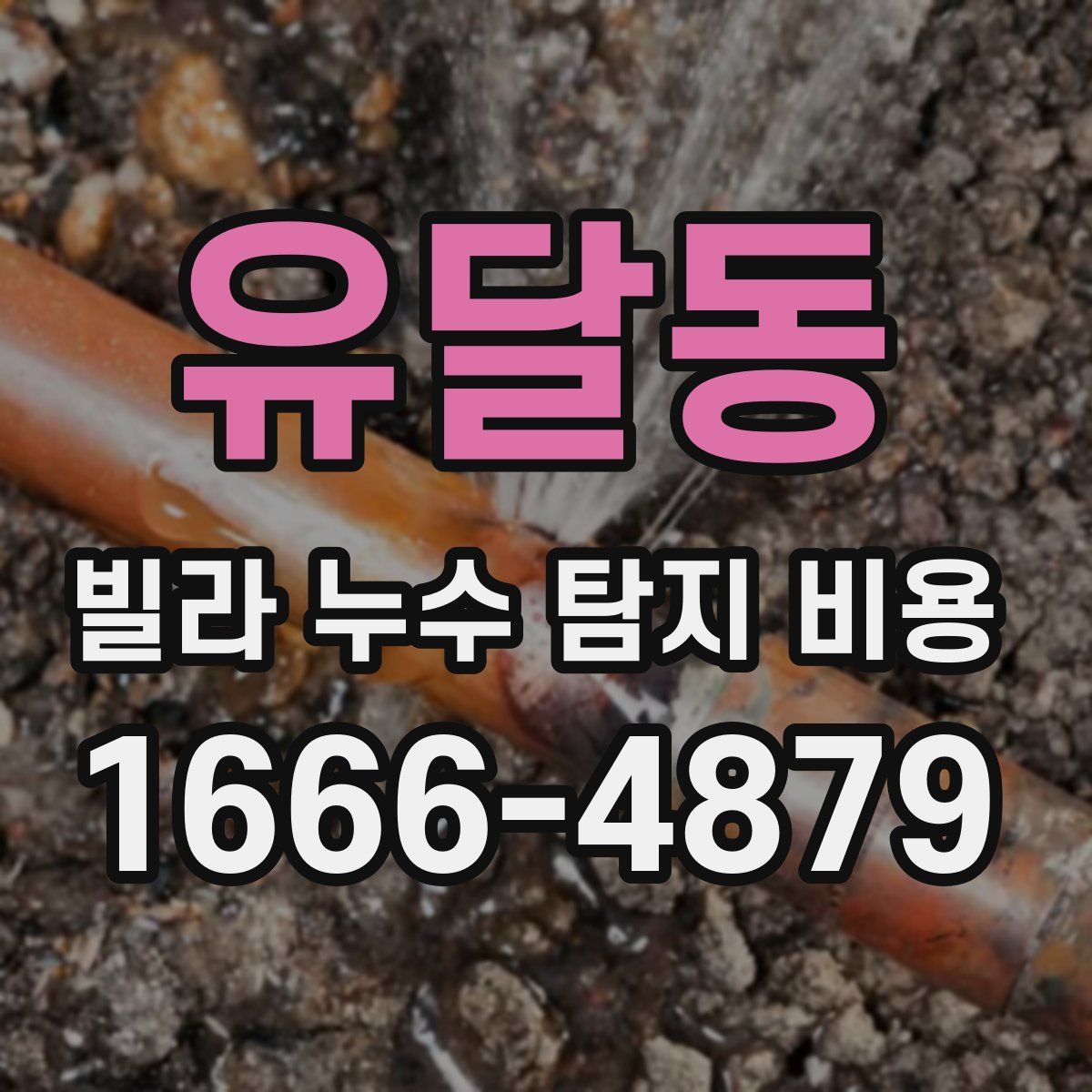 유달동 빌라 누수 탐지 비용