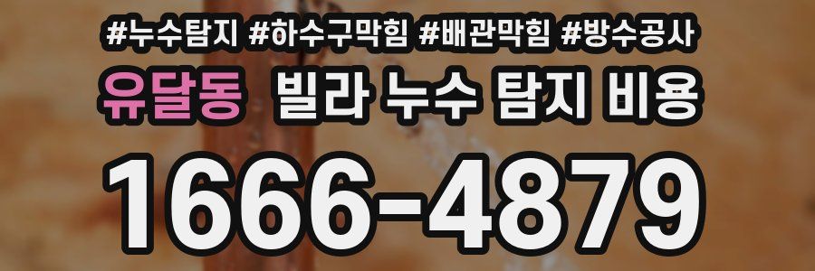유달동 빌라 누수 탐지 비용