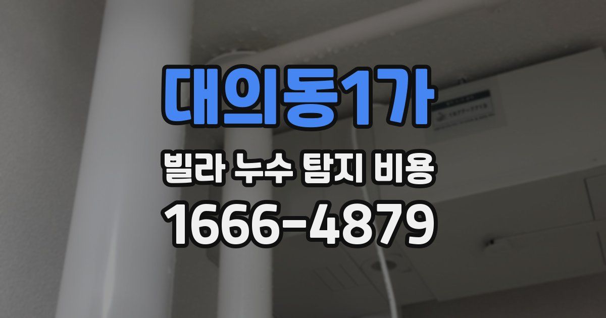 대의동1가 빌라 누수 탐지 비용