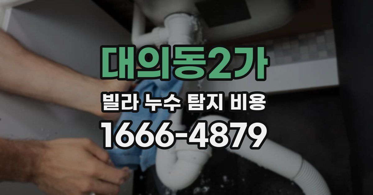 대의동2가 빌라 누수 탐지 비용