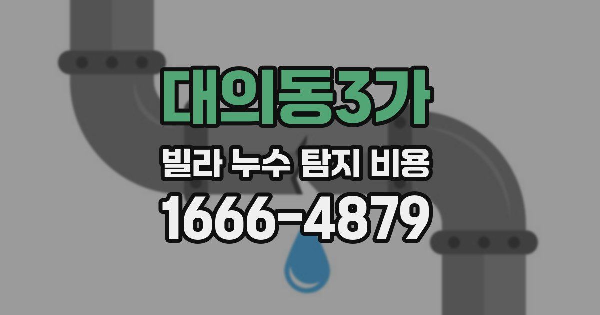대의동3가 빌라 누수 탐지 비용