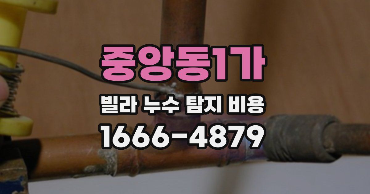 중앙동1가 빌라 누수 탐지 비용