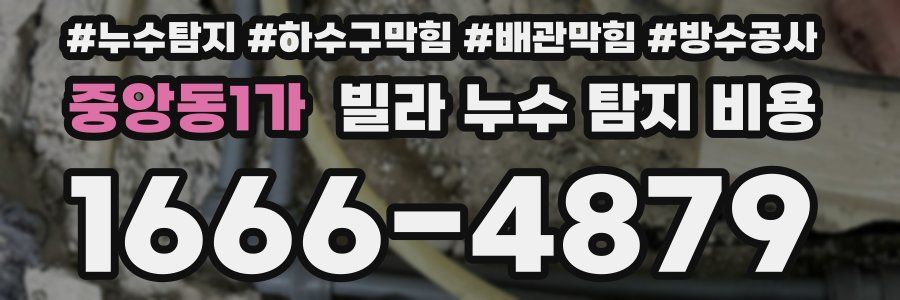 중앙동1가 빌라 누수 탐지 비용