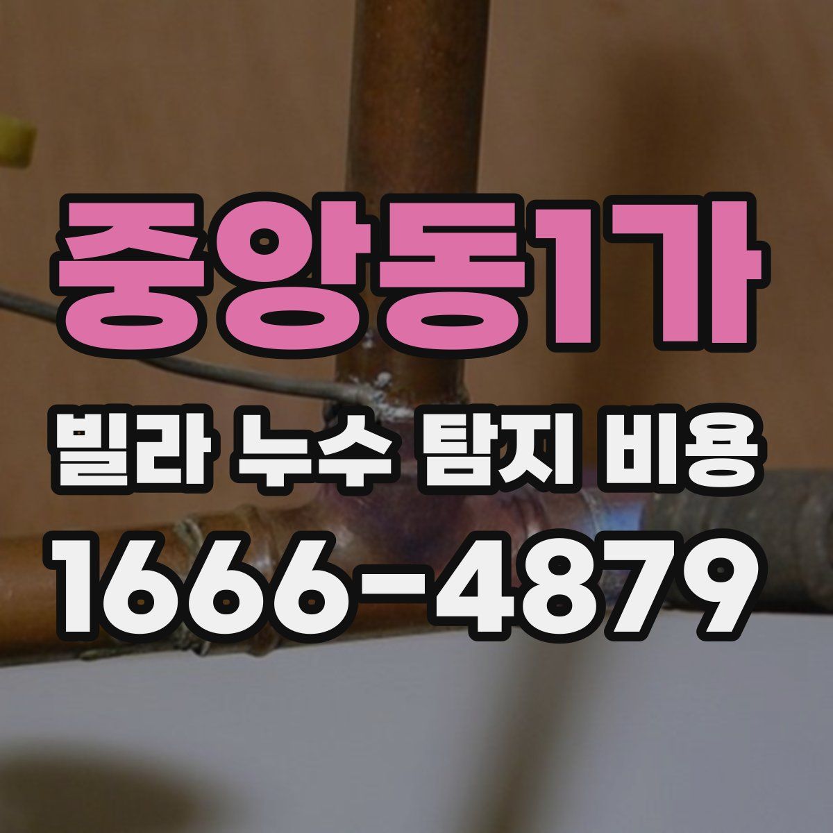 중앙동1가 빌라 누수 탐지 비용