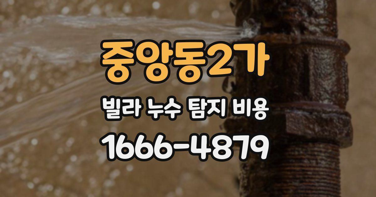 중앙동2가 빌라 누수 탐지 비용