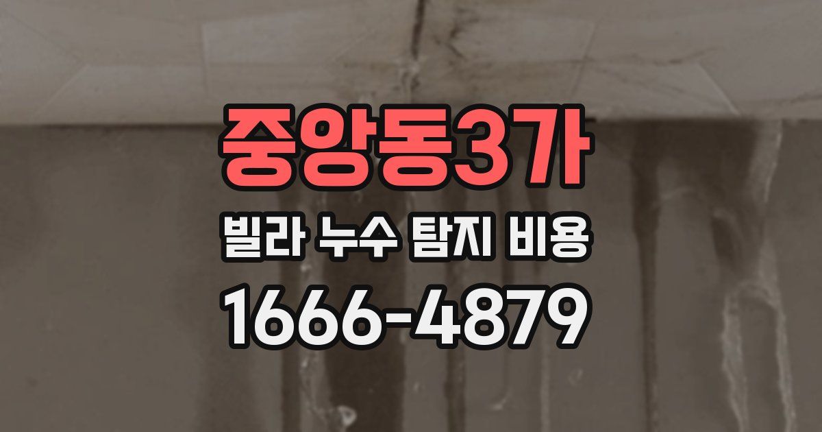 중앙동3가 빌라 누수 탐지 비용