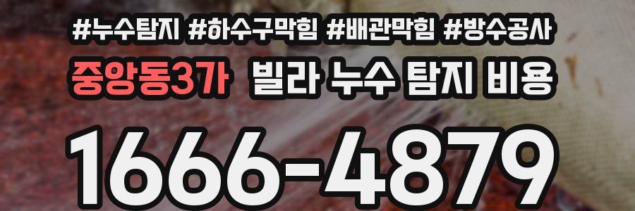 중앙동3가 빌라 누수 탐지 비용