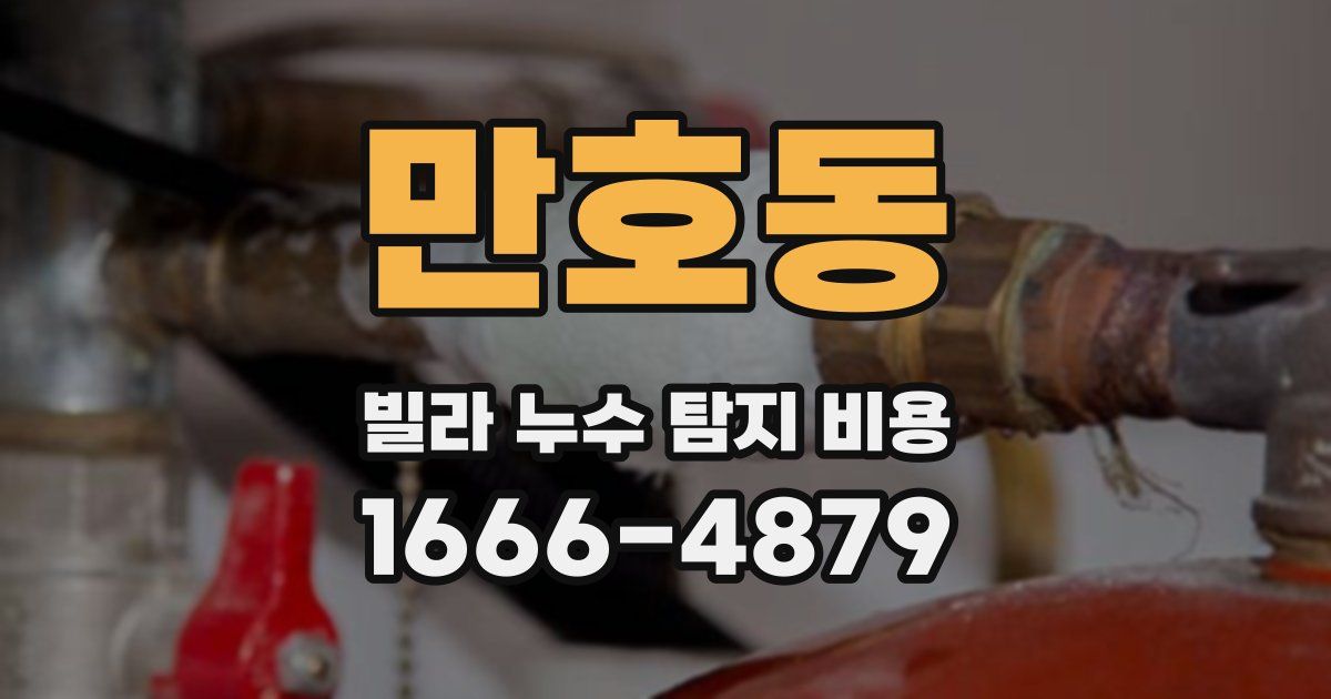 만호동 빌라 누수 탐지 비용