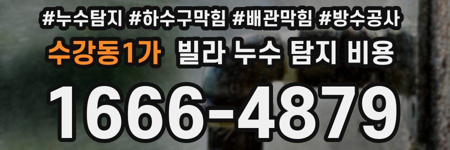 수강동1가 빌라 누수 탐지 비용