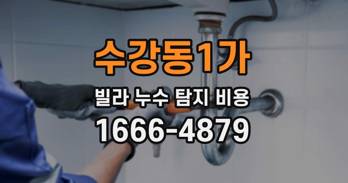 수강동1가 빌라 누수 탐지 비용