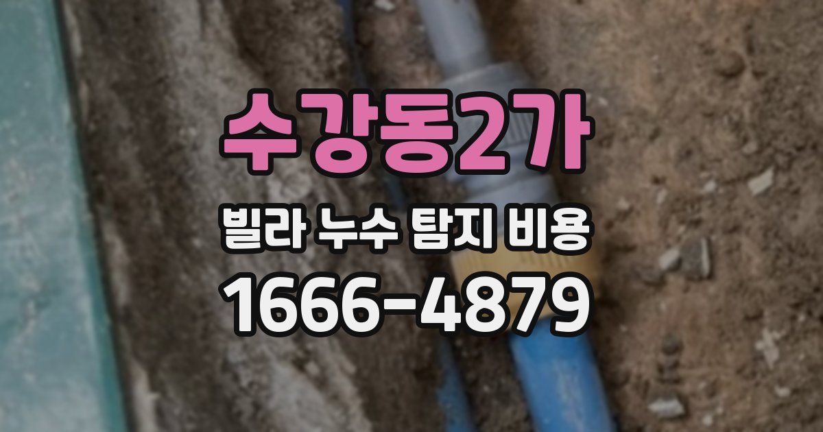 수강동2가 빌라 누수 탐지 비용
