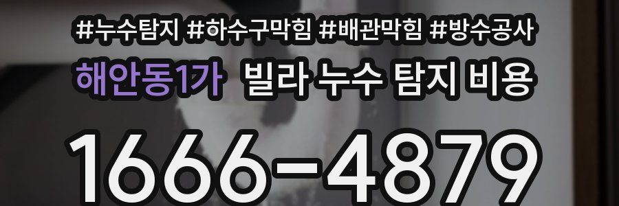 해안동1가 빌라 누수 탐지 비용
