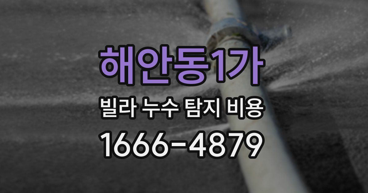 해안동1가 빌라 누수 탐지 비용