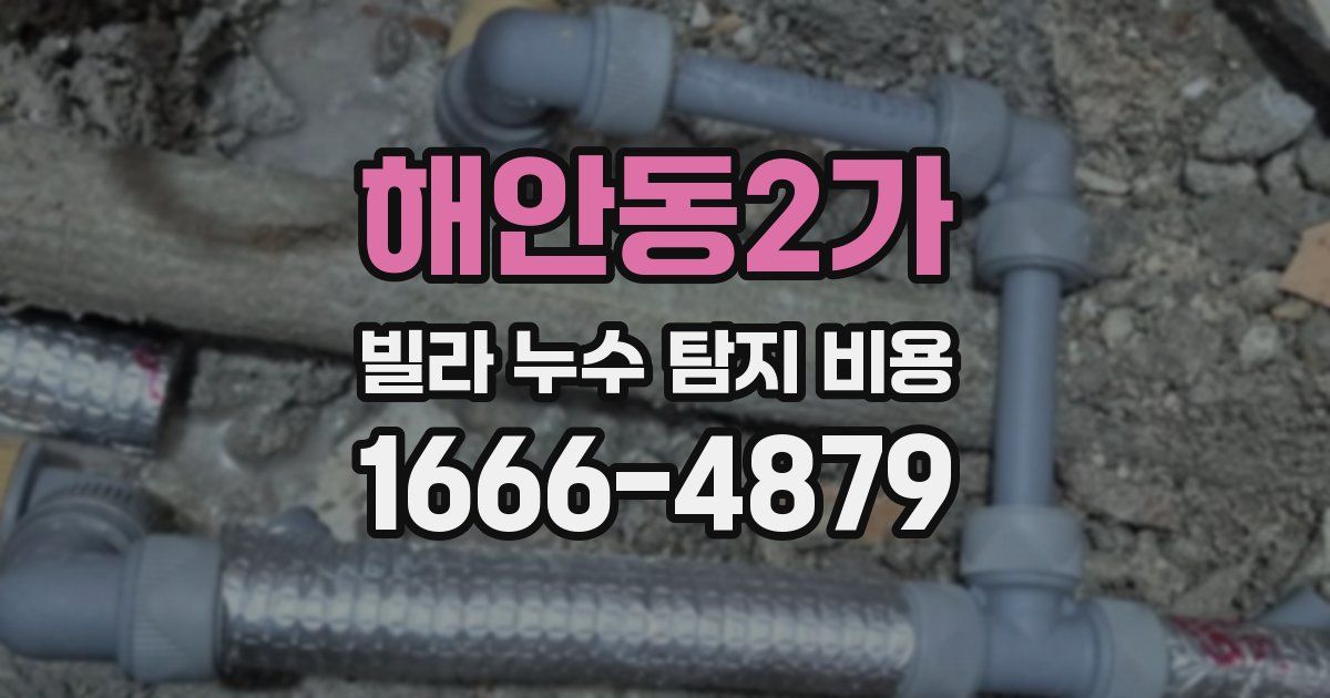 해안동2가 빌라 누수 탐지 비용