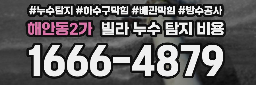 해안동2가 빌라 누수 탐지 비용