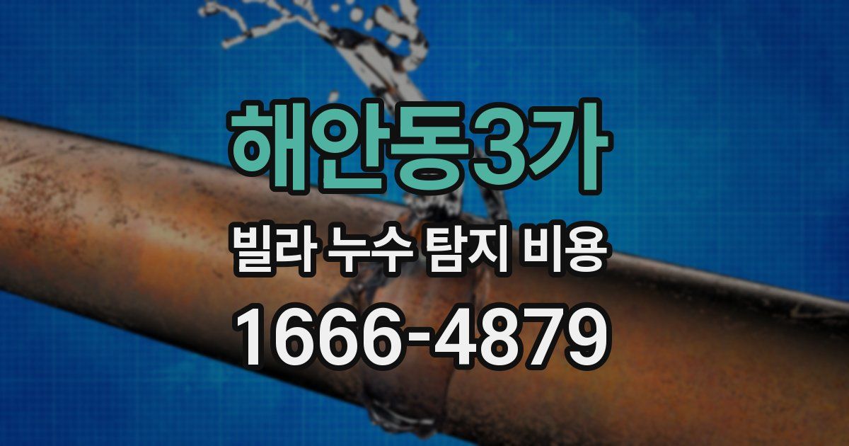 해안동3가 빌라 누수 탐지 비용