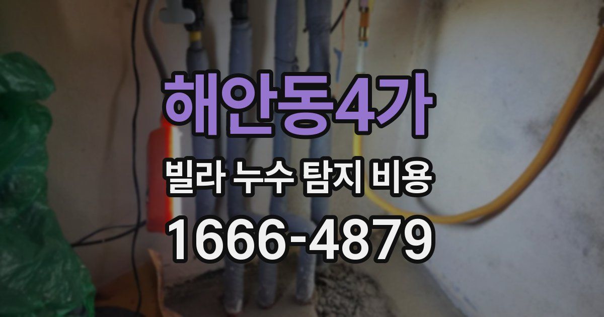 해안동4가 빌라 누수 탐지 비용