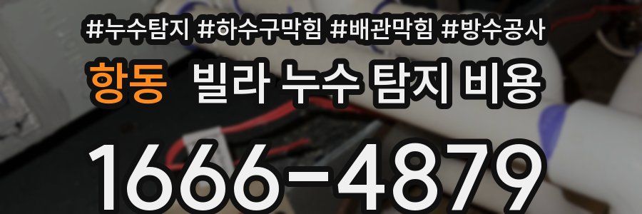 항동 빌라 누수 탐지 비용