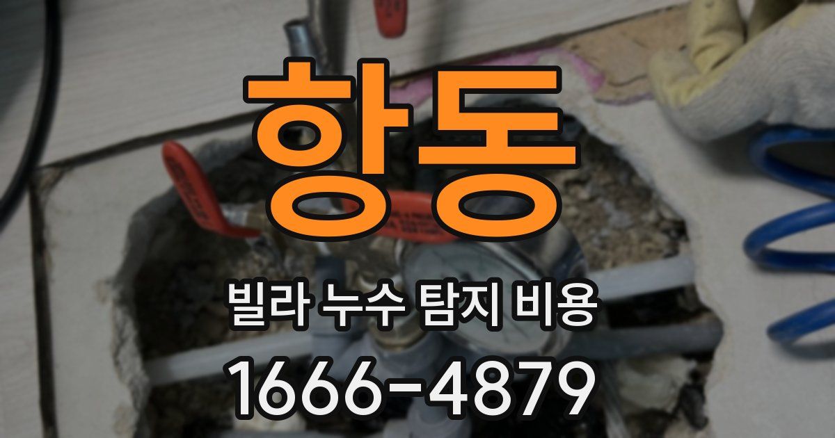 항동 빌라 누수 탐지 비용