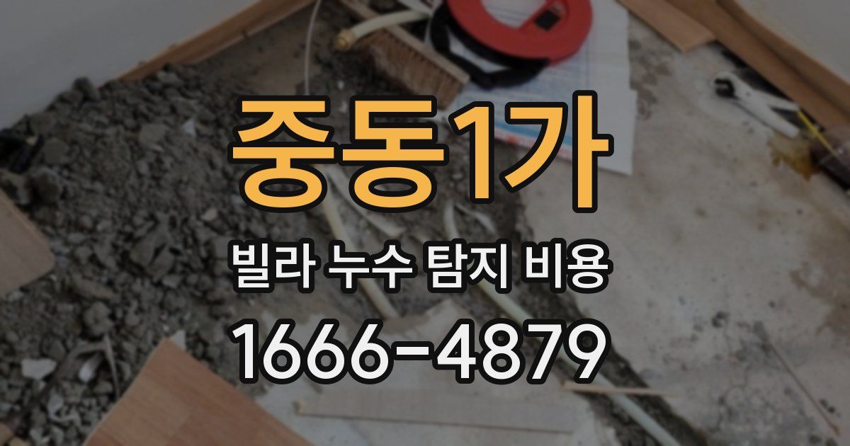 중동1가 빌라 누수 탐지 비용